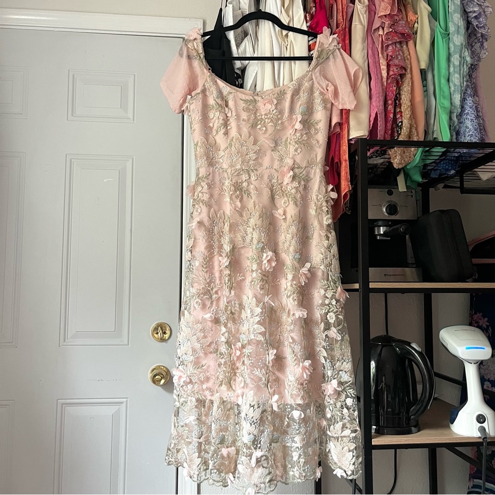 Dress the Population Blush Pink Floral Appliqué Midi Dress